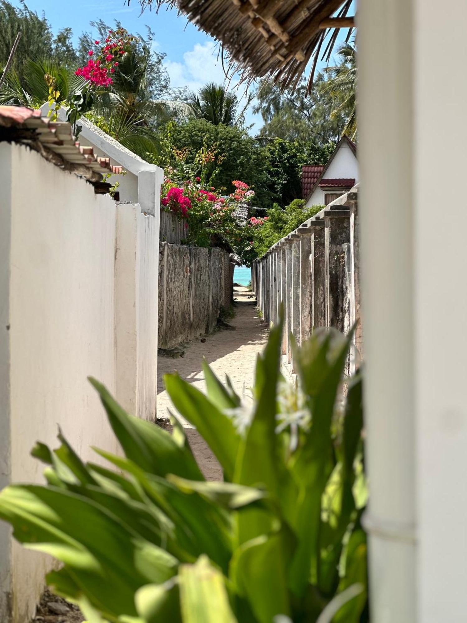 Mlango Paje Villa Boutique エクステリア 写真