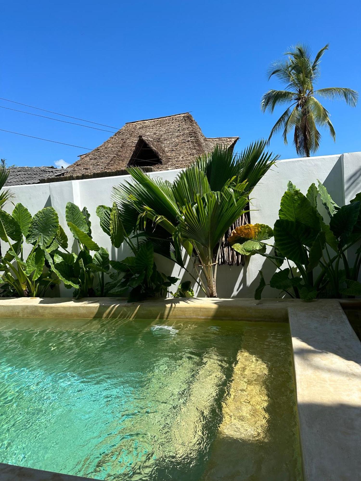 Mlango Paje Villa Boutique エクステリア 写真