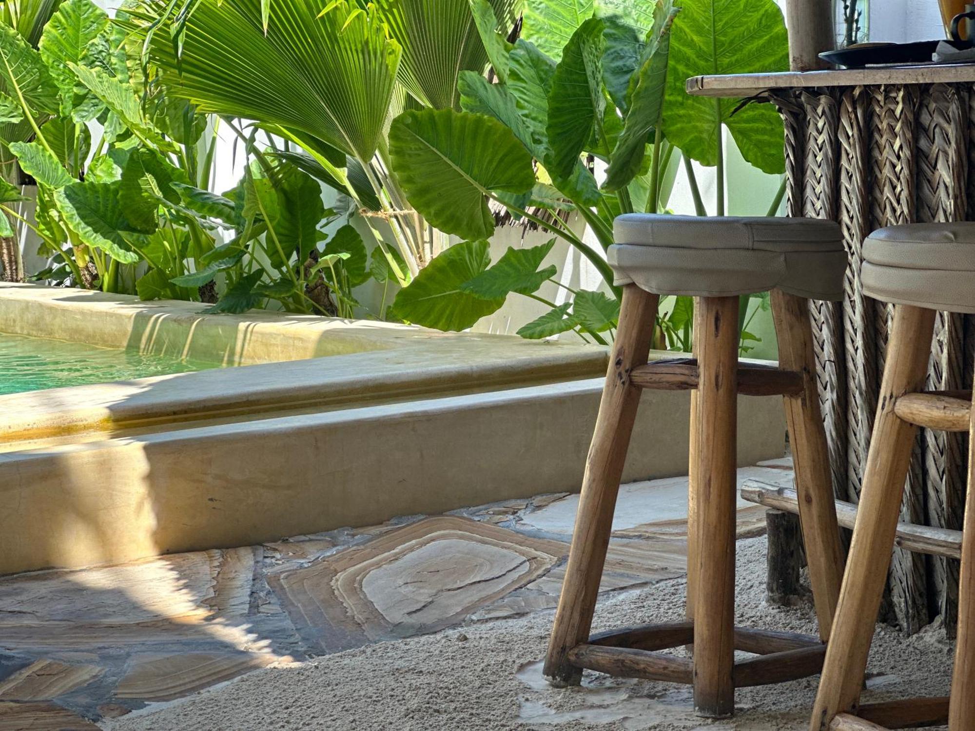Mlango Paje Villa Boutique エクステリア 写真