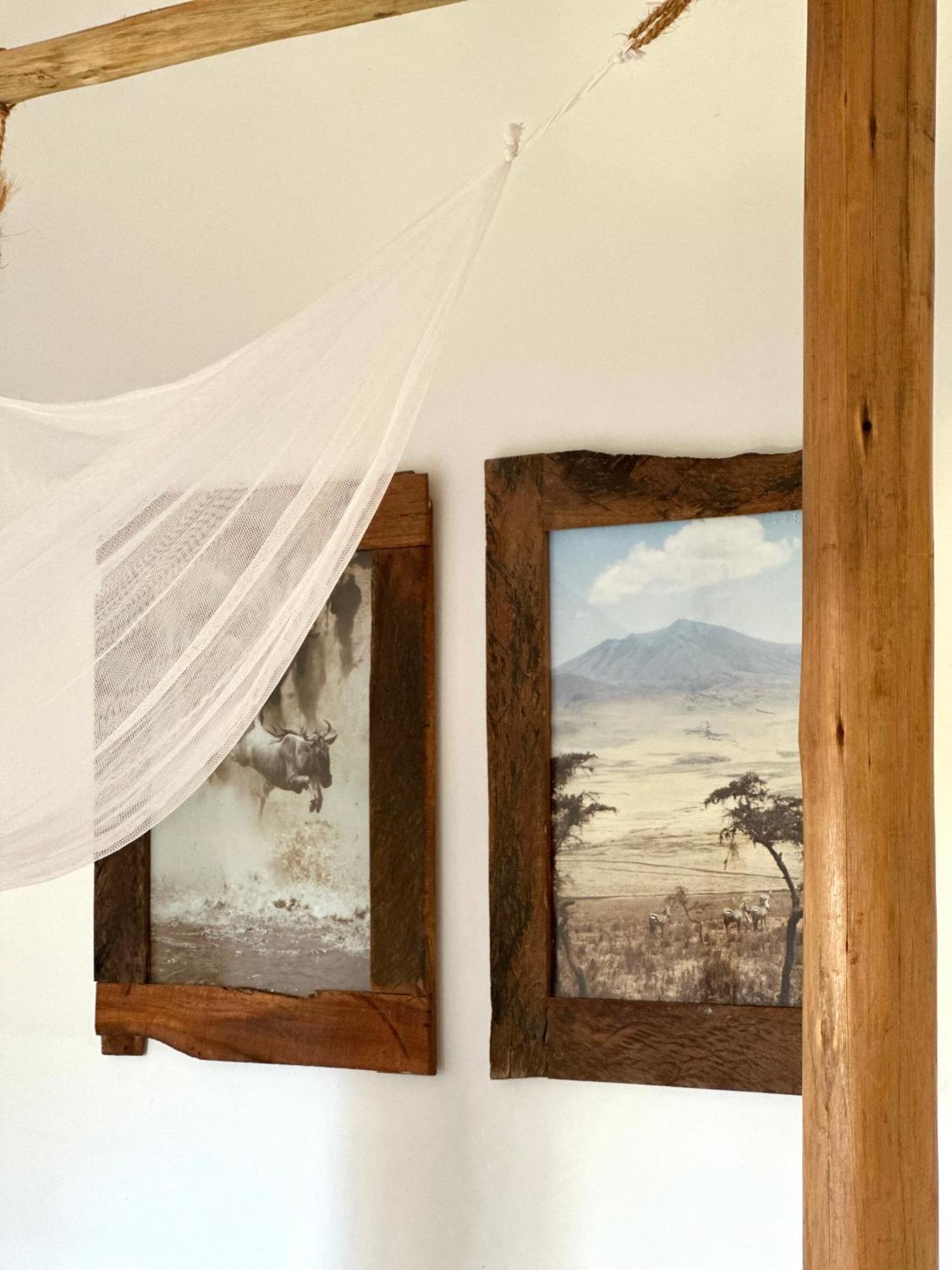 Mlango Paje Villa Boutique エクステリア 写真